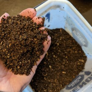 A handful of fresh, all-natural Flourish Cycle worm castings